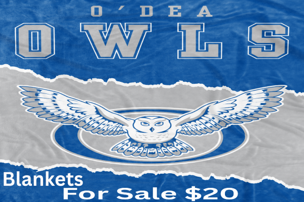 school gear blanket O'Dea Owls $20 blue and silver grey soft fabric