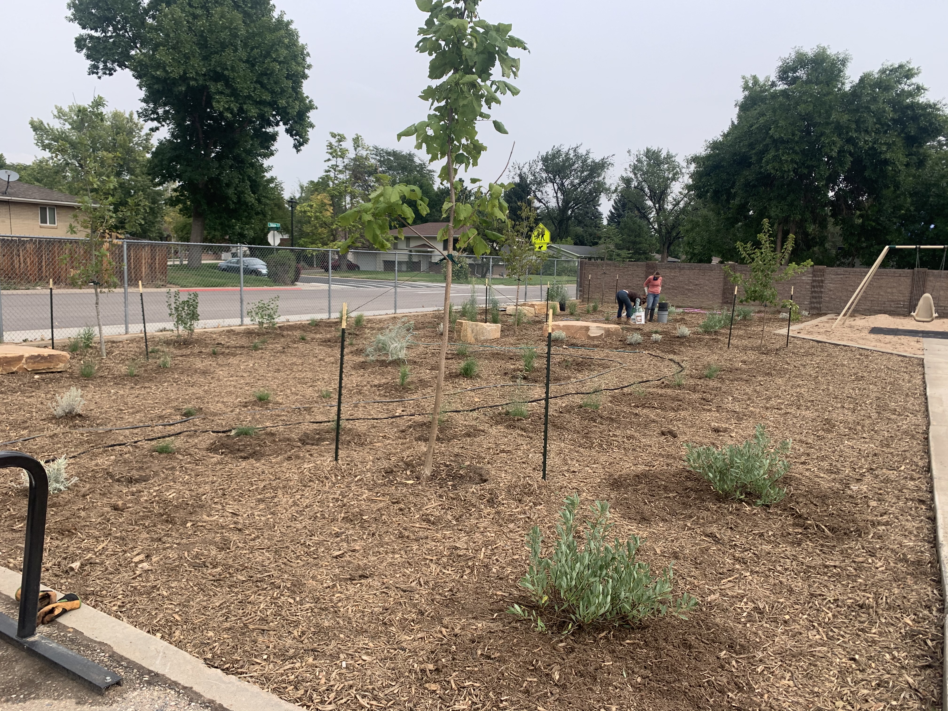 O'Dea's Nature Area planted with native Colorado plants and grasses.