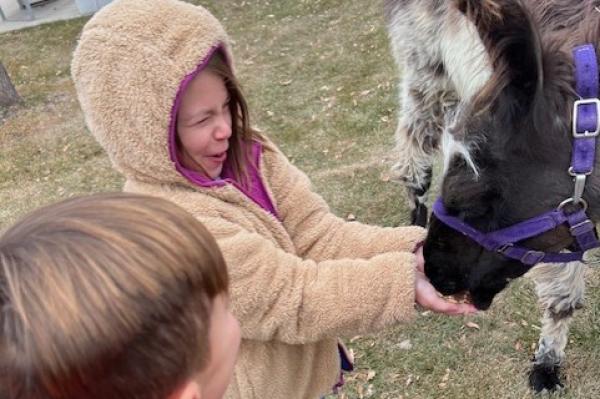 llama visit