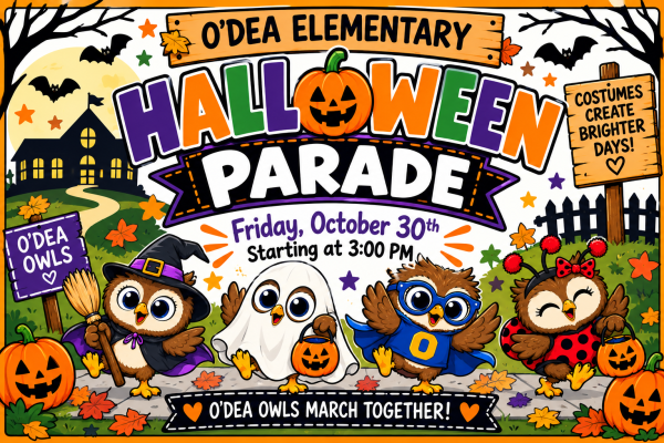 Owls with costumes