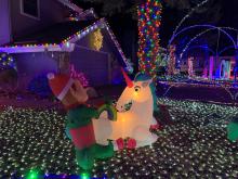 Holiday Light Display Ouray Court