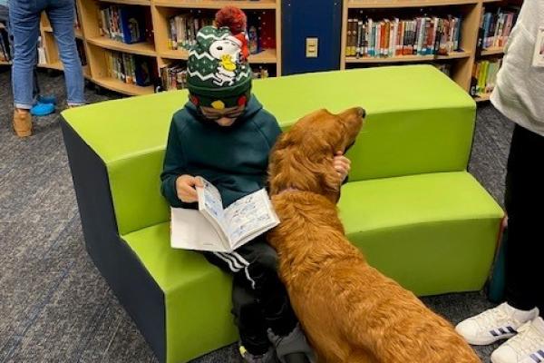 A boy reading on a couch in a library with a golden retriever therapy dog visiting the class.